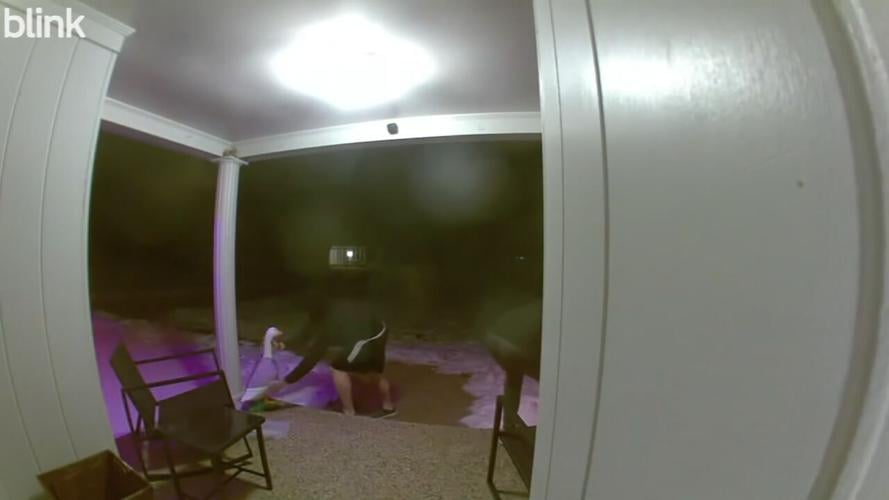 PORCH GOOSE THEFT (1).jpeg