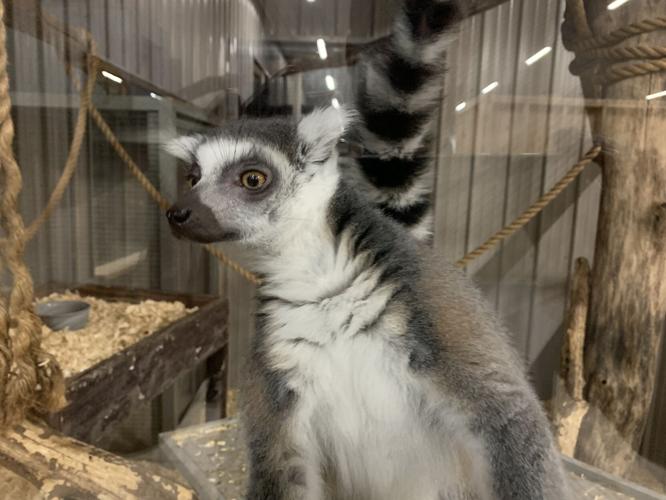 Wilstem Wildlife Park (58).JPG