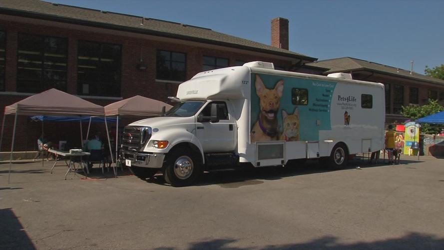 BEECHMONT PET DAY 10SOT.transfer_frame_1886.jpg