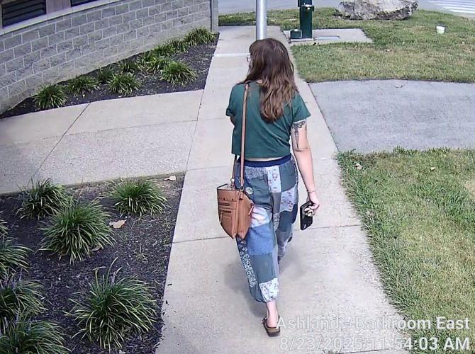 Ashland Park Theft Suspect