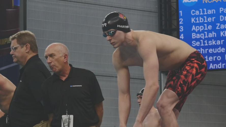 Zach Harting U of L swimming.jpg