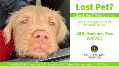 LMAS Redemption Fees Flyer.jpg