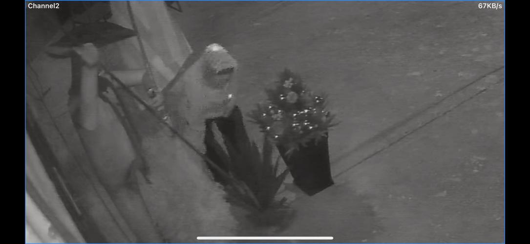 Suspect steals planter at Maguey Mexican Restaurant.jpg