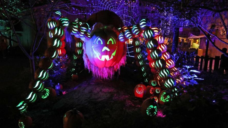 dollywood pumpkins 9-23-20.jpg