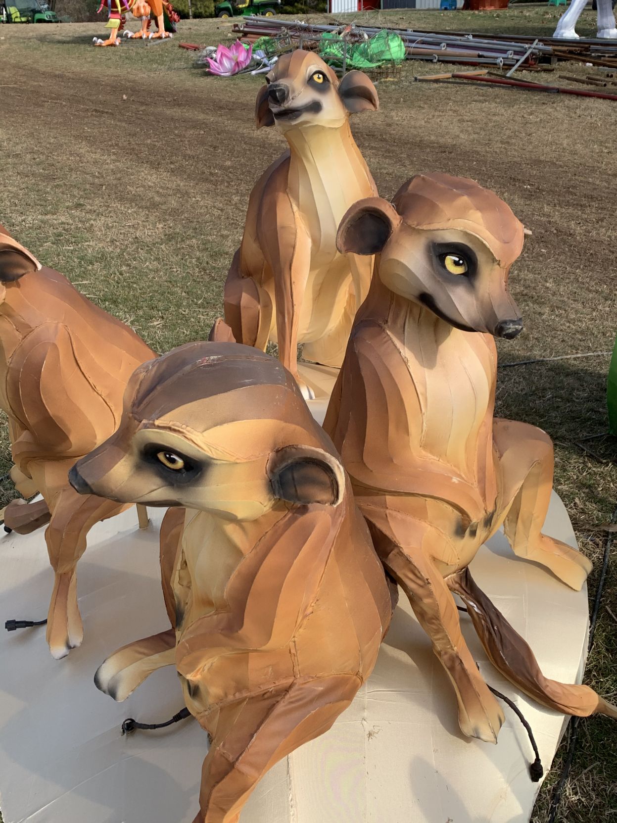 Asian Lantern Festival (foxes).jpg