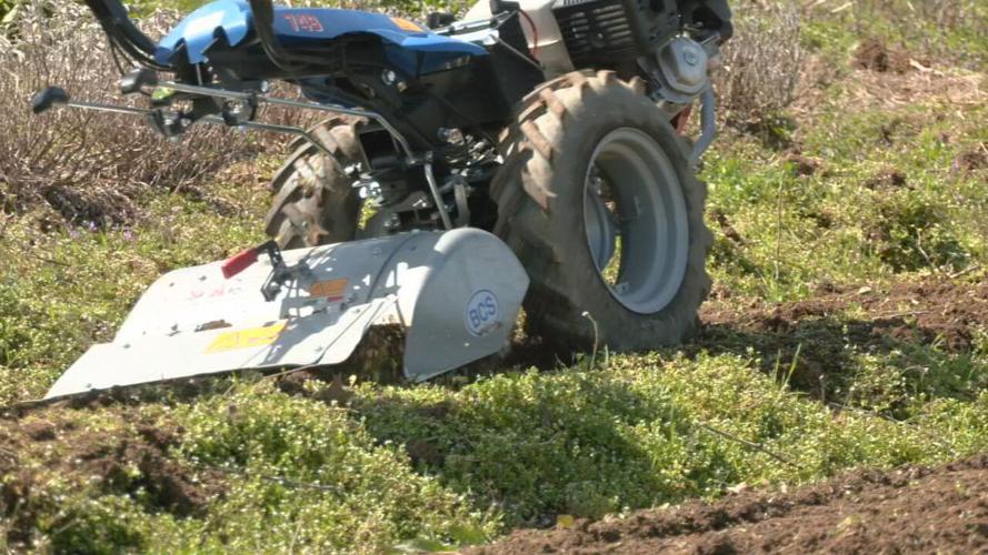 Hope Community Farm leasing property at old Iroquois Homes site