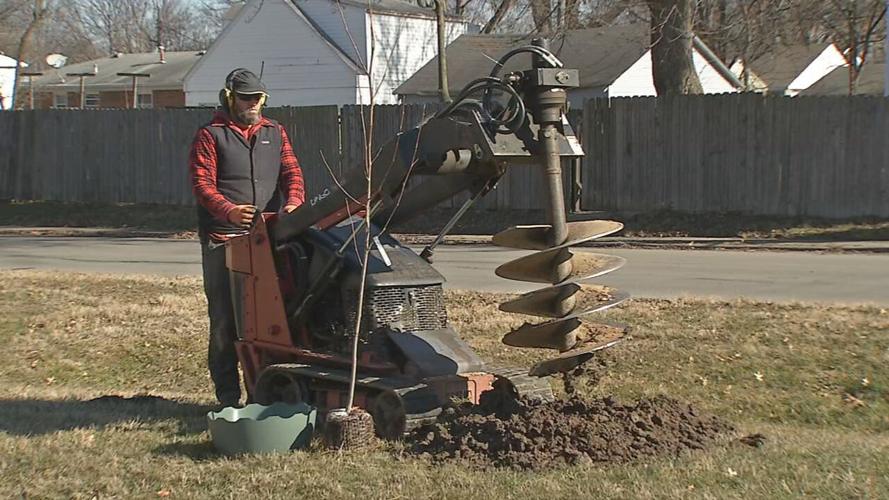 TreesLouisville Inauguration Day tree planting (3).jpeg