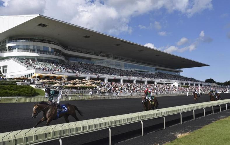 ARLINGTON PARK 2017 - AP FILE.jpeg