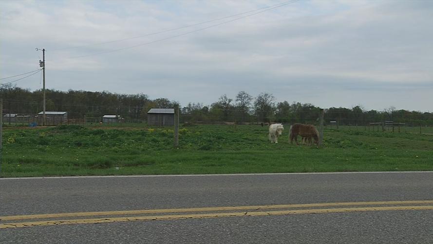 charlestown pike farms