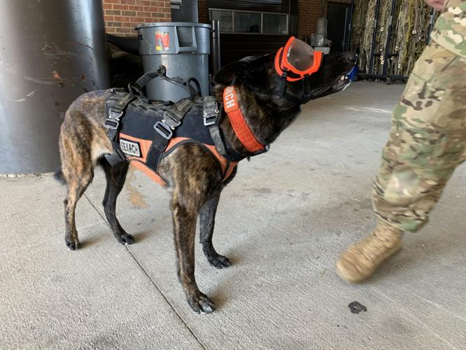 Kentucky Air National Guard Search and Rescue K-9 Callie