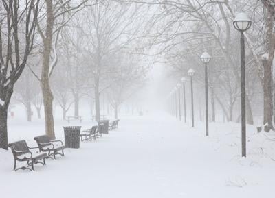 Waterfront Park in snow - Jan. 5, 2025.JPG
