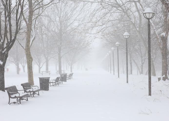 Waterfront Park in snow - Jan. 5, 2025.JPG