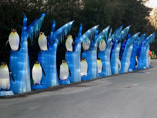 Louisville Zoo Wild Lights Festival 2021 (6).jpg