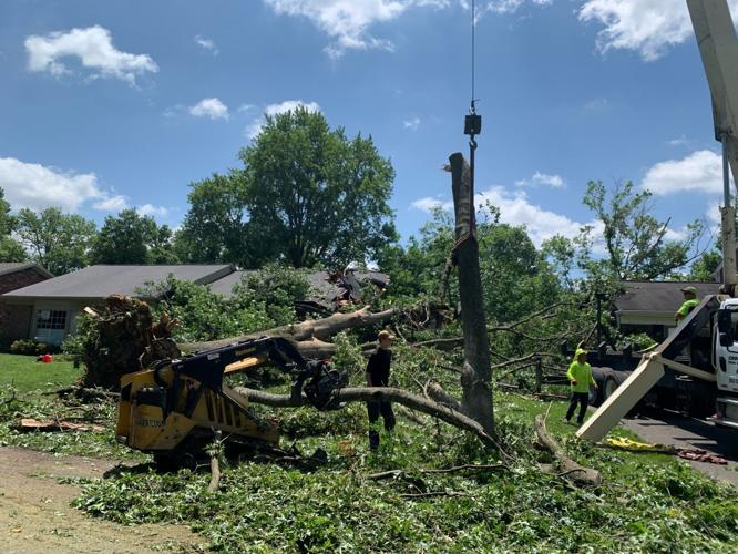 STORM DAMAGE - Brownsboro Vista Drive & Murray Hill Pike - 6-26-2023 1.jpg