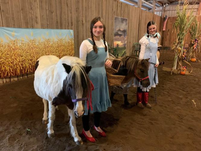 IMAGES| Mini horses win Halloween with costume party fundraiser for Opening Gates nonprofit