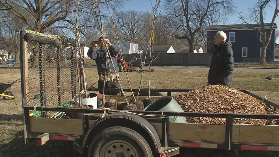 TreesLouisville Inauguration Day tree planting.jpeg
