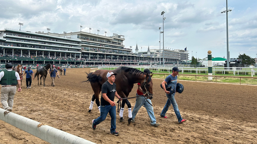 Horses walk the track on 502sDay at Churchill Downs