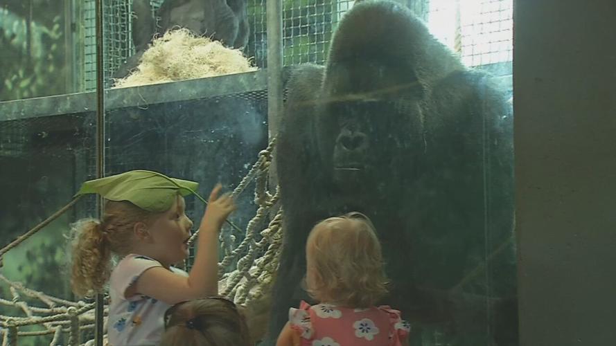MASKS IN METRO BUILDINGS.jpeg