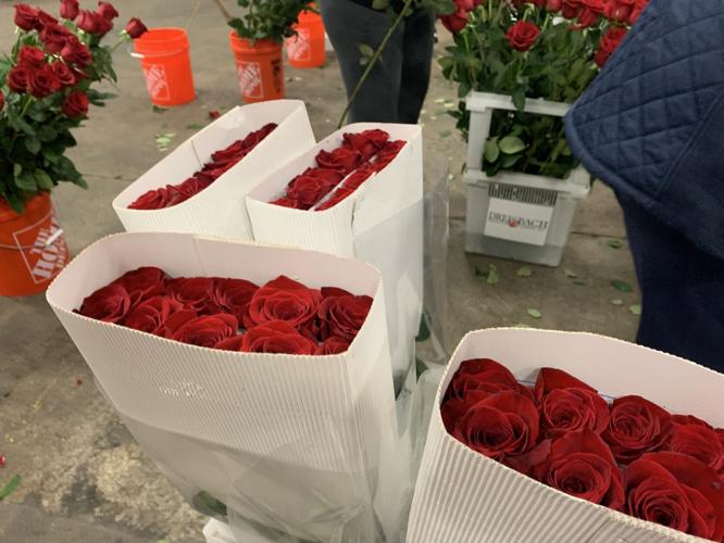 Derby 149 roses 5-3-23