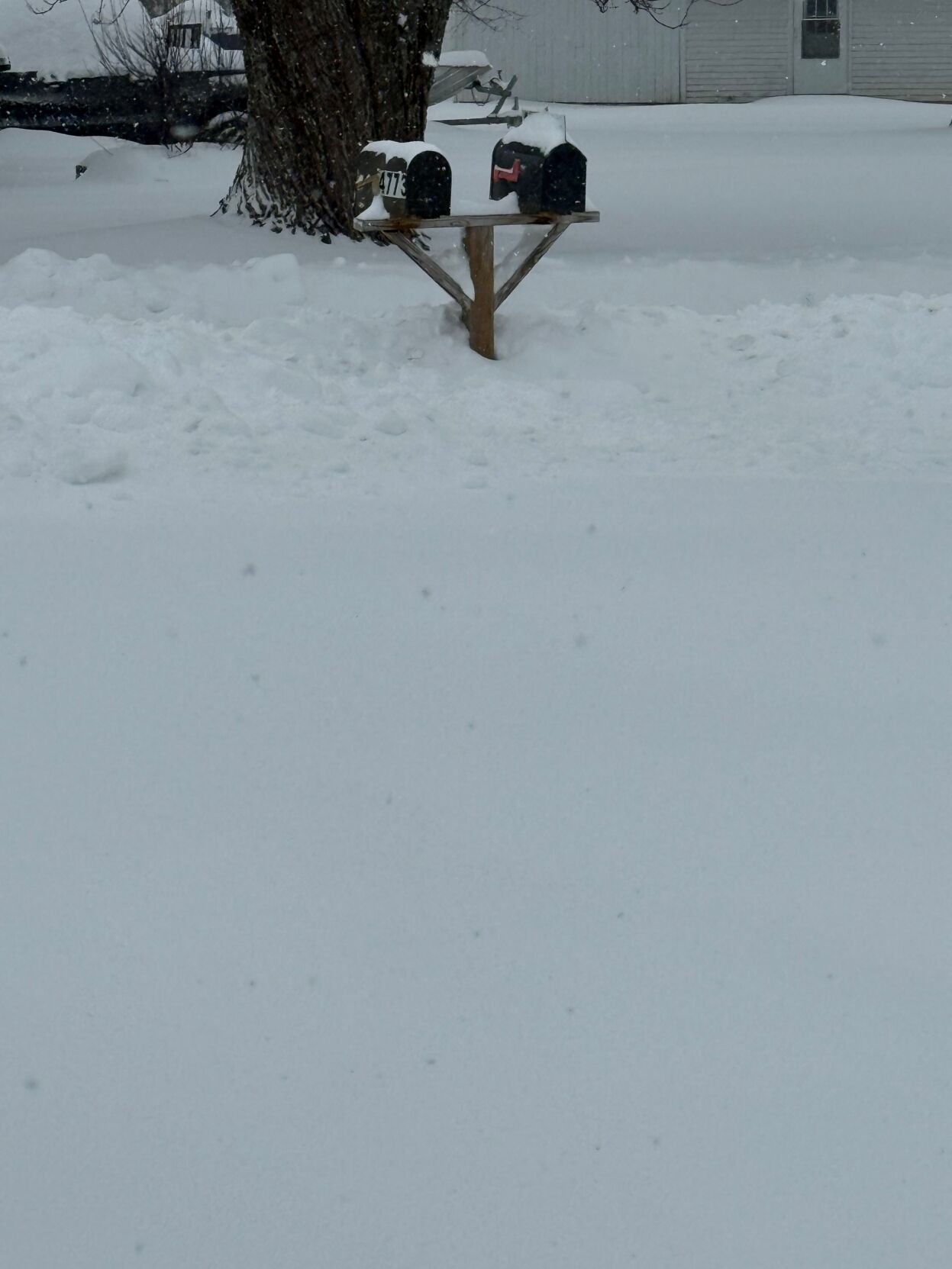 Freetown, Indiana snow - 1.25.26