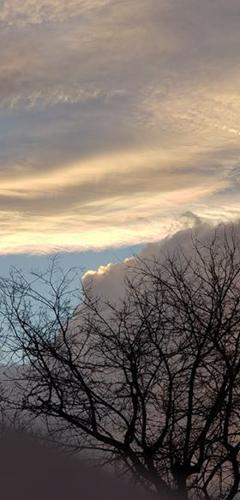 STORMS 3-14-19 - EMINENCE KENTUCKY - CALISTA RICHARDS.jpg