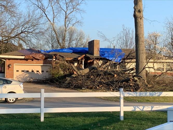 Tree falls at home