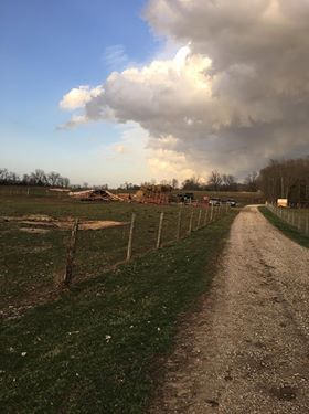 STORMS 3-14-19 - GUSTON KENTUCKY - TERAH WEBER.jpg