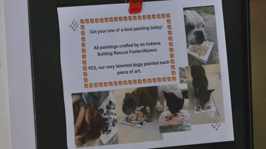 Indiana Bulldog Rescue pop-up shop 12-5-21