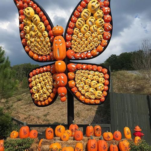 dollywood pumpkins (2) 9-23-20.jpg