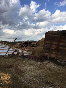 STORMS 3-14-19 - GUSTON KENTUCKY 2 - TERAH WEBER.jpg