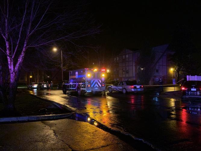 Olde English Court shooting.jpg