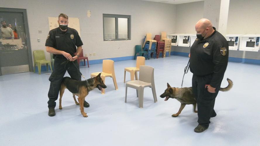 metro corrections k9s 2
