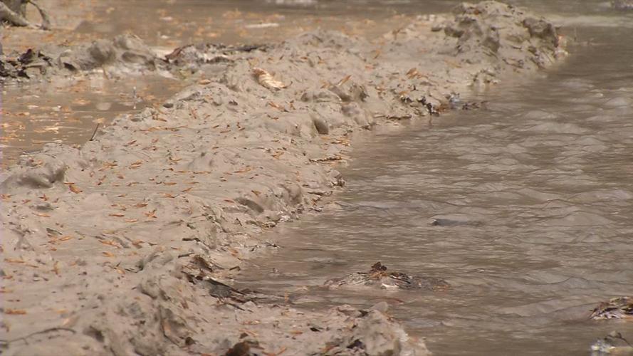 Slurry in Blue Lick Creek in Bullitt County
