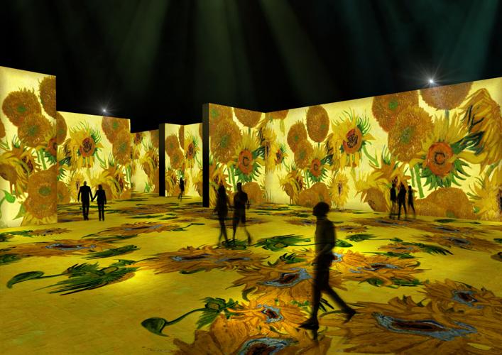 Van Gogh Indianapolis (4).jpg