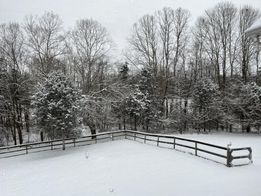 Suzanne Shirrell - Greensburg, KY.jpg