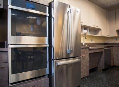 GE-VIPS partnership 2.JPG