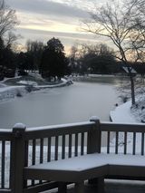 Brenda Drucker Bennett - Middletown.jpg