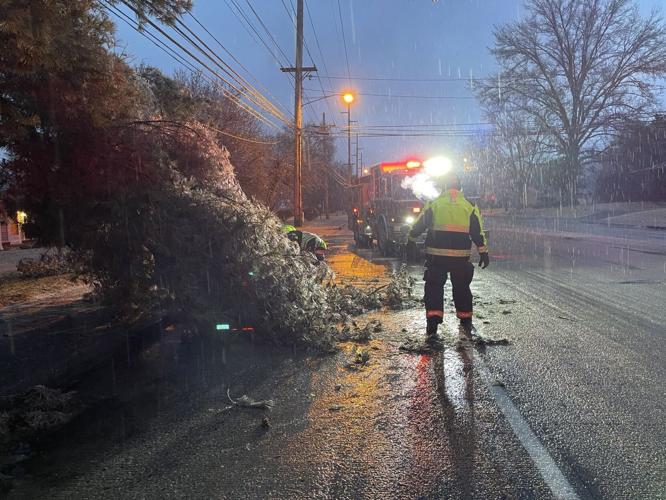 Tree down during winter storm 2-10-21 (2).jfif