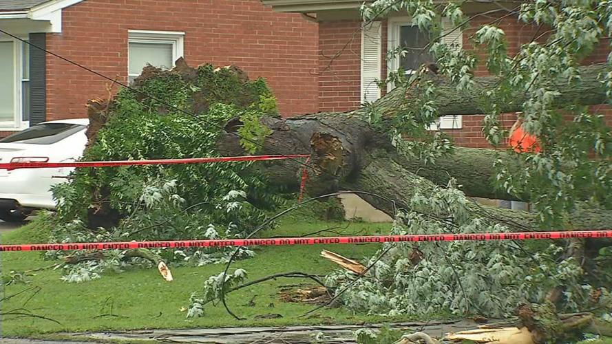 Sunday storm damage 4.jpg