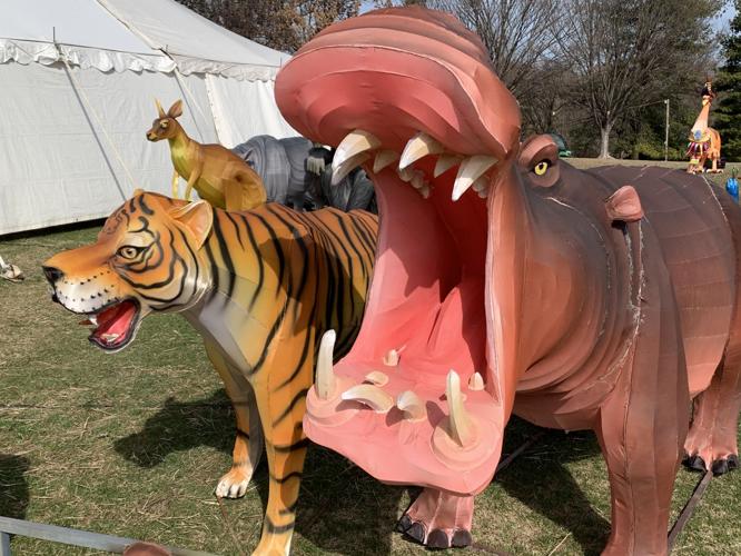 Asian Lantern Festival (hippo).jpg