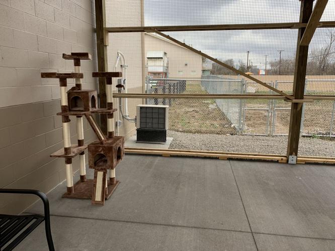 ALLEY CAT ADVOCATES - NEW BUILDING 2-13-2020  (6).jpg