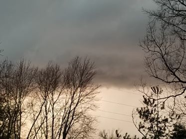 STORMS 3-14-19 - OKOLONA - CHERYLL CRAIG.jpg