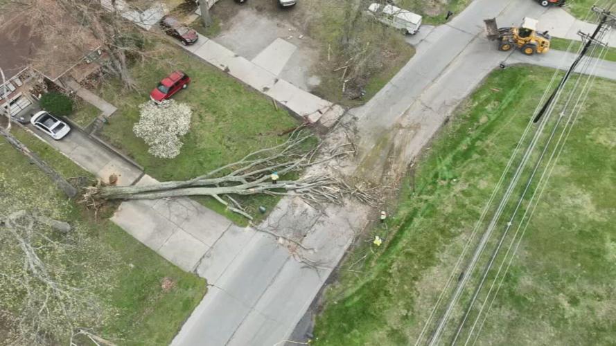 Drone-Tree down in yard after storms 4-6-23.jpeg