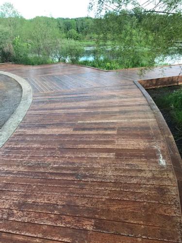 Boardwalk at Parklands.jpg