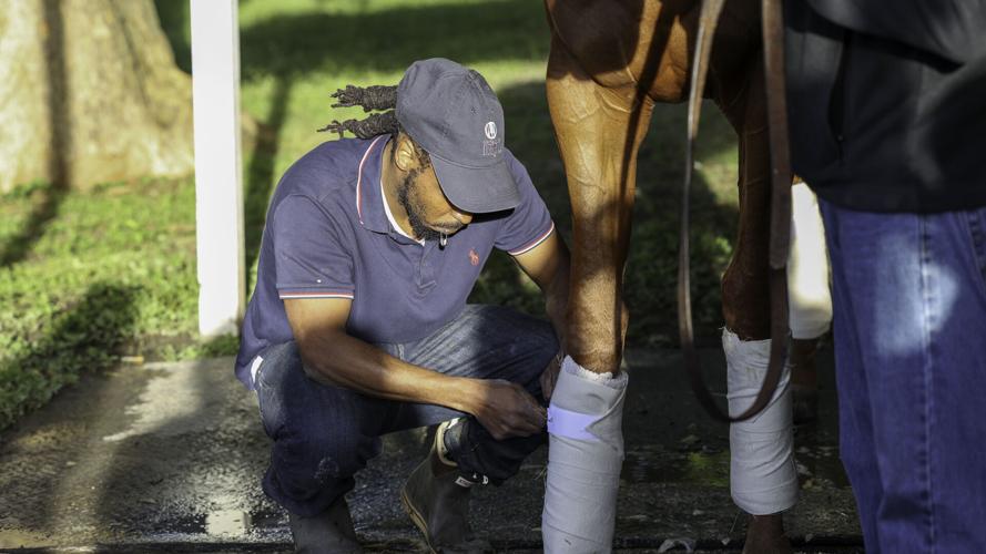 Rich Strike and groom