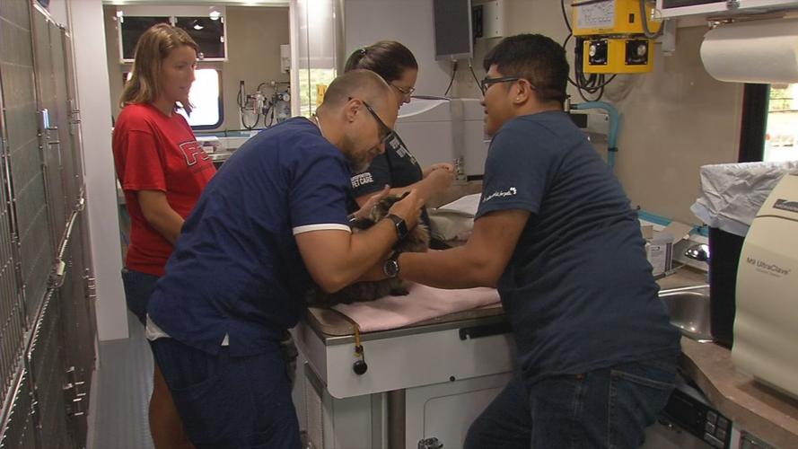 BEECHMONT PET DAY 10SOT.transfer_frame_2142.jpg