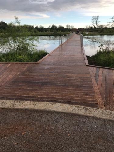 The Parklands Boardwalk.jpg