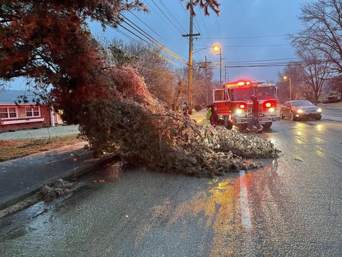 Tree down during winter storm 2-10-21.jfif