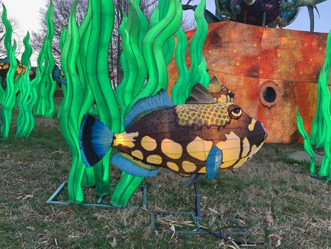 Louisville Zoo Wild Lights Festival 2021 (2).jpg