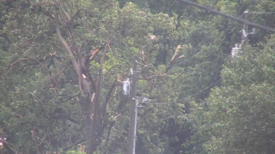 hart co damage (4).jpeg
